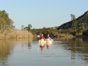 addo-01