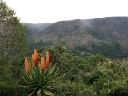 addo-10