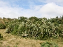 addo-28