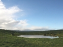 addo-42