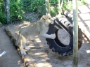 addo-55