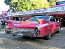 addo-60