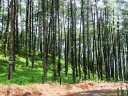 arenal-04