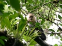arenal-09