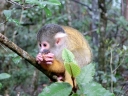 bloukrans-02
