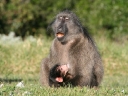 bloukrans-07