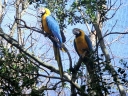 bloukrans-14