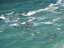 bloukrans-29