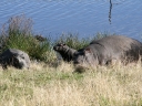 bloukrans-47