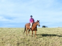 bloukrans-48