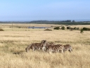 bloukrans-53