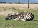 bloukrans-54