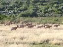 bloukrans-55