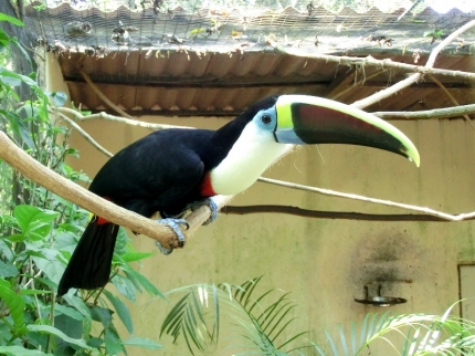 iguazu-43