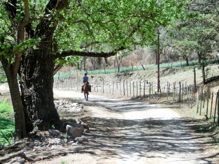salta-28