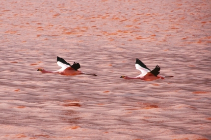 uyuni-12