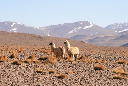 uyuni-16