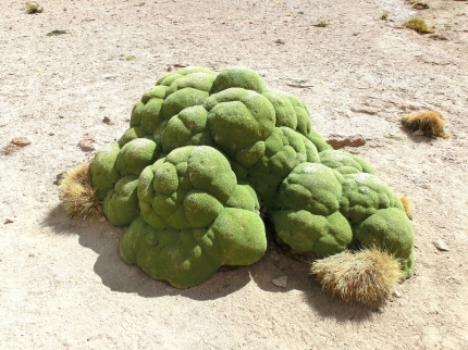 uyuni-36