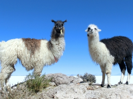 uyuni-41