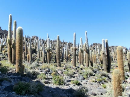 uyuni-43