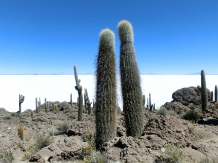 uyuni-46