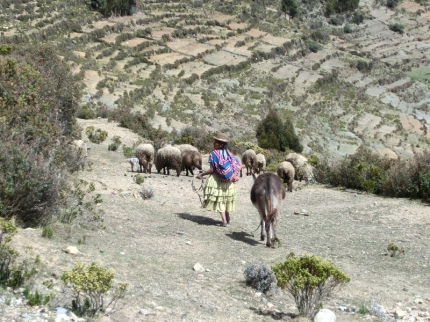 lapaz-64