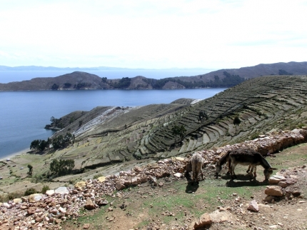 lapaz-66