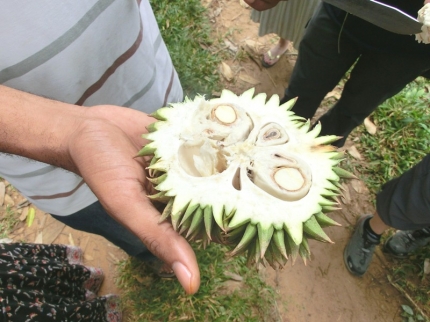 sansibar-57
