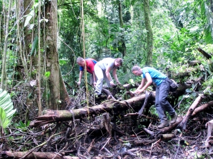 arenal-22