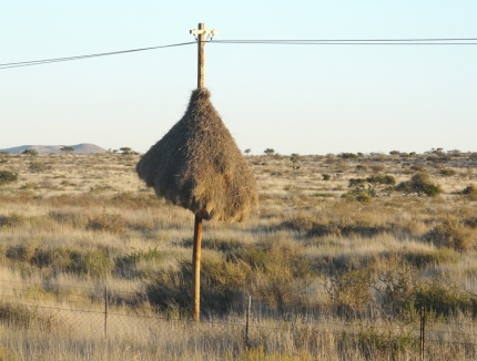 kalahari-03