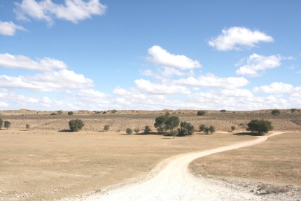 kalahari-13