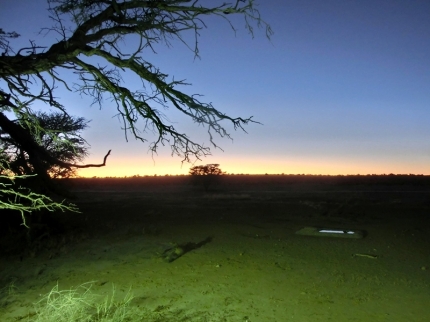 kalahari-41