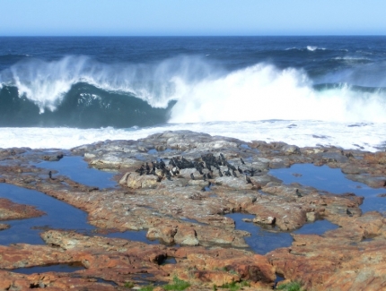 bloukrans-31