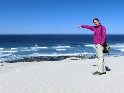 dehoop-04