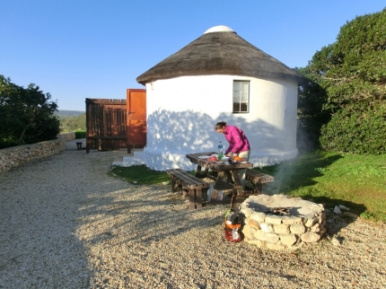 dehoop-11