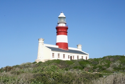 dehoop-19