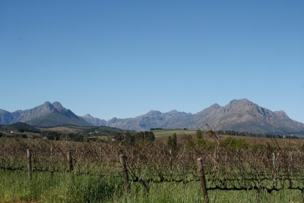 stellenbosch-04
