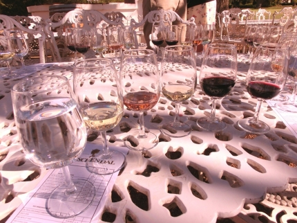 stellenbosch-09