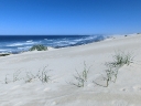 dehoop-03