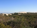 dehoop-10