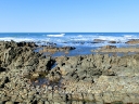dehoop-17