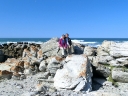 dehoop-18
