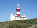 dehoop-19
