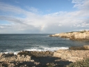 dehoop-34