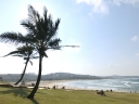 durban-21