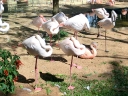iguazu-33