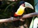 iguazu-34