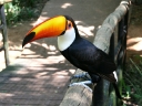 iguazu-37