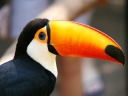 iguazu-38