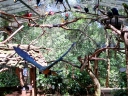 iguazu-48